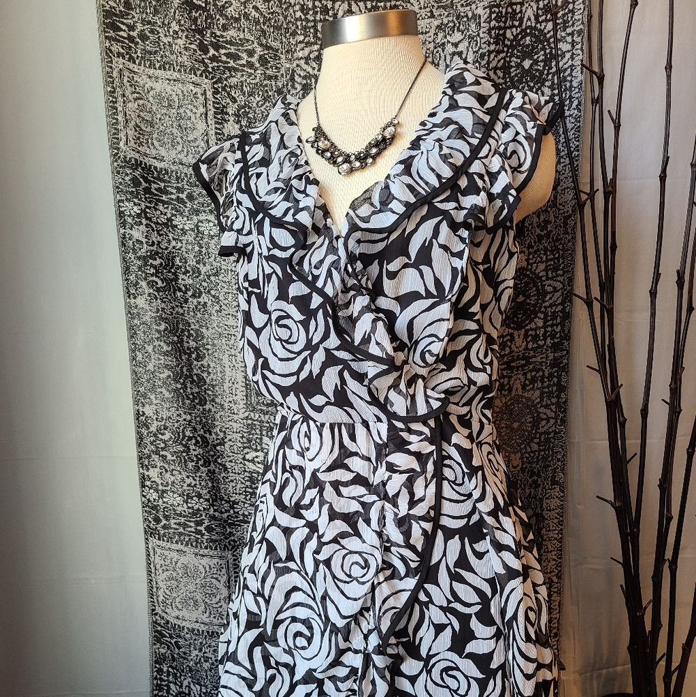 JBS.... GORGEOUS DRESS